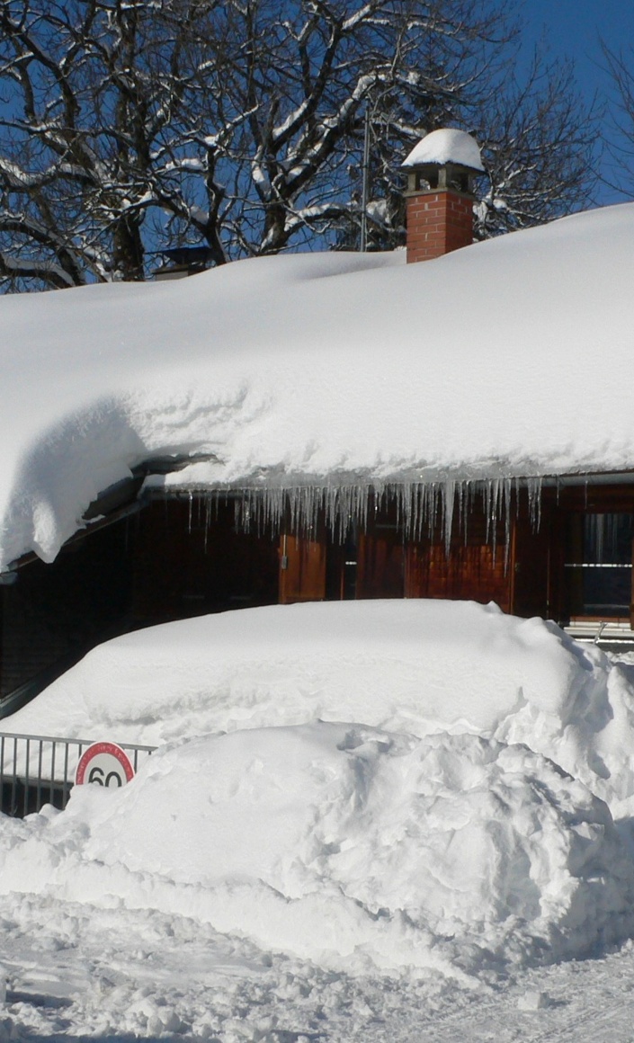 Sanierung unserer Hütte in Hittisau