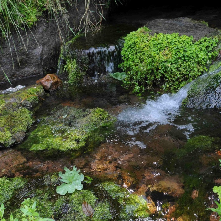 Quellen im Spessart