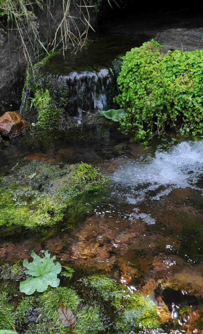 Quellen im Spessart