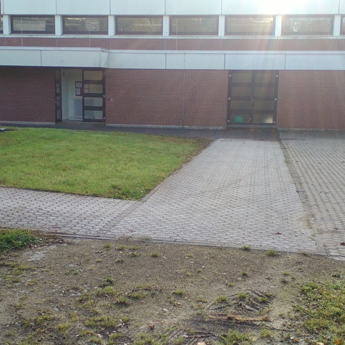 Bau eines Carport und Pflasterarbeiten