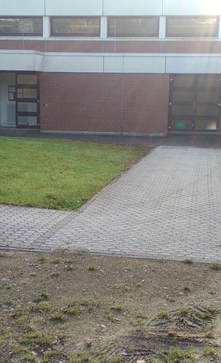 Bau eines Carport und Pflasterarbeiten