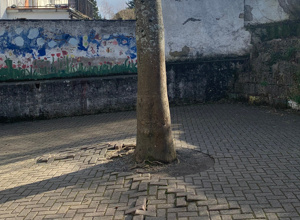 Sitzmöglichkeiten als Ruheoasen auf dem Schulhof
