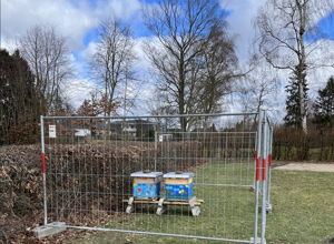 Bienengarten für die JPE!