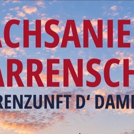 Dachsanierung Vereinsheim Narrenzunft d´Dammglonker Langenargen