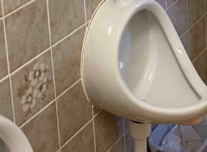 Sanierung der sanitären Einrichtungen