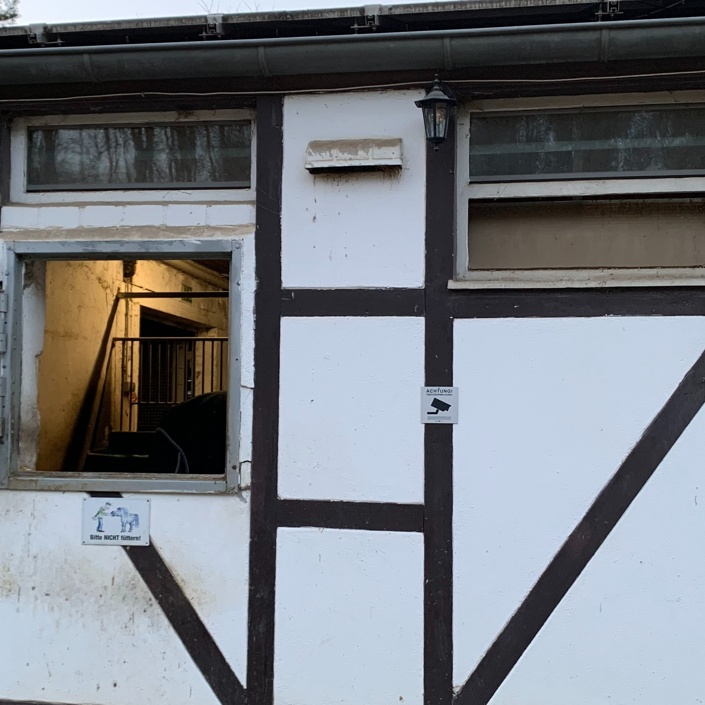 Paddockanlage Reitverein Ditzingen