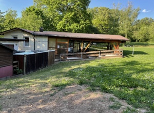 Renovierung Vereinsgelände Hundesportverein Huchenfeld e.V.