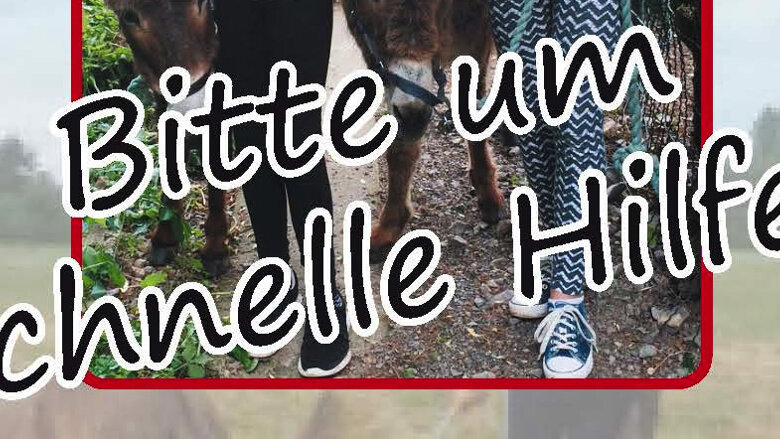Große Ansicht vom Video