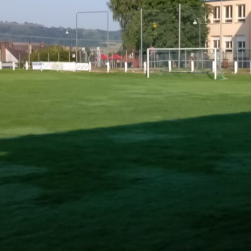SV09 Somborn - Tore Jugend/Aktive, Platzrenovierung und Tanzboden