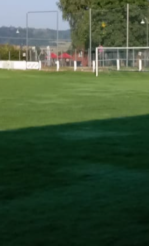 SV09 Somborn - Tore Jugend/Aktive, Platzrenovierung und Tanzboden