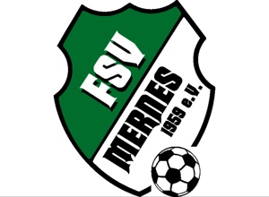 Video - Der FSV Mähroboter