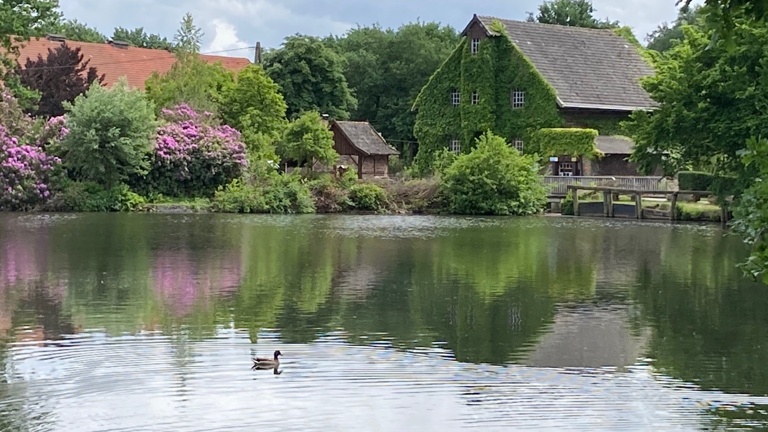 Erhalt der Tüshaus Mühle - Wasserkraft braucht Mühlenwehr
