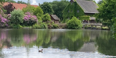 Erhalt der Tüshaus Mühle - Wasserkraft braucht Mühlenwehr