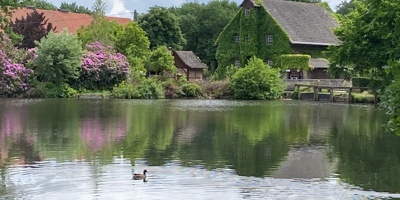 Erhalt der Tüshaus Mühle - Wasserkraft braucht Mühlenwehr