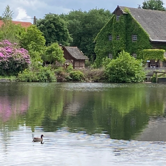 Erhalt der Tüshaus Mühle - Wasserkraft braucht Mühlenwehr
