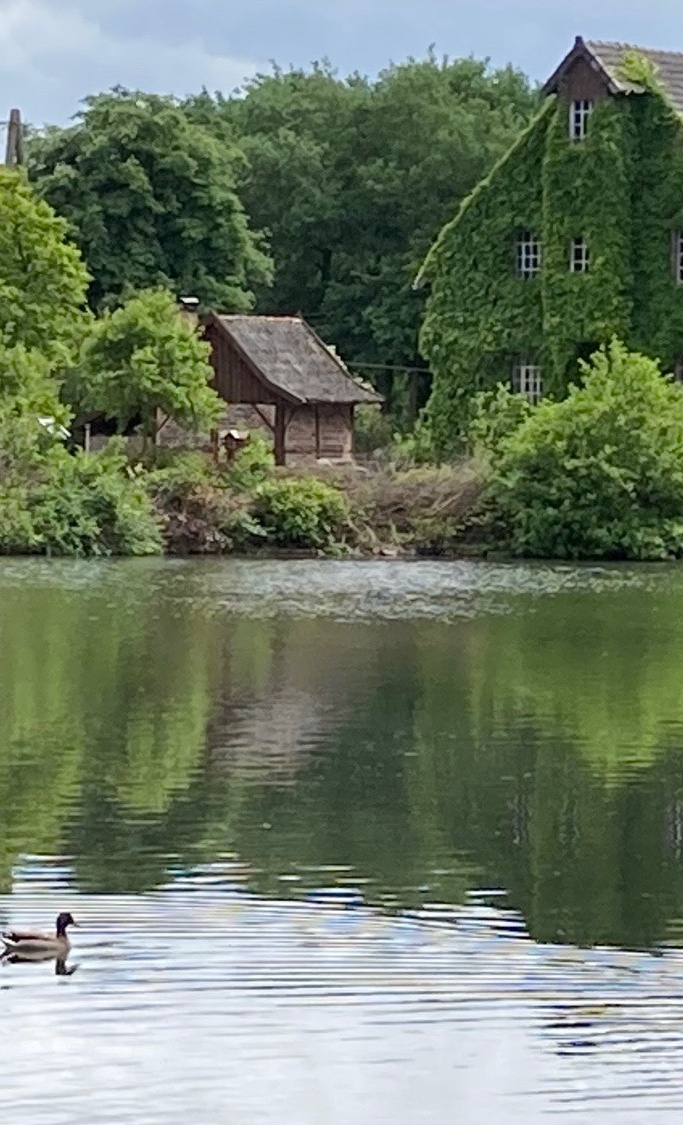 Erhalt der Tüshaus Mühle - Wasserkraft braucht Mühlenwehr