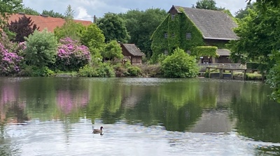 Erhalt der Tüshaus Mühle - Wasserkraft braucht Mühlenwehr