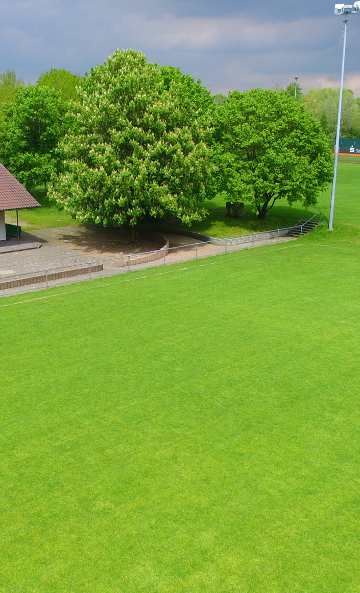 Erneuerung Flutlicht