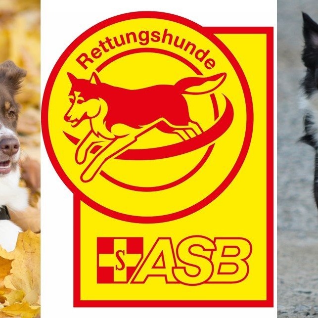 Ein neuer Bus für die Rettungshunde