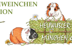 Video - Tierarztkosten für 78 Notmeerschweinchen