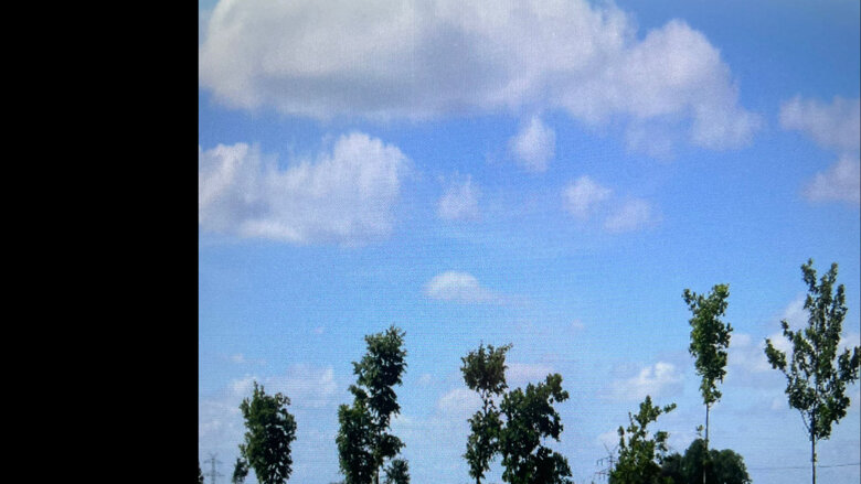 Große Ansicht vom Video