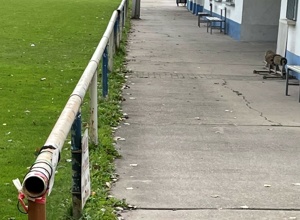 Modernisierung Sportplatz