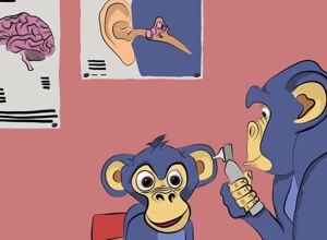 Kinderbuch "Affe Kim und die laute Hörschnecke"