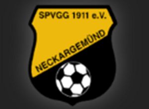 Sportkamera für  unsere SpVgg 1911