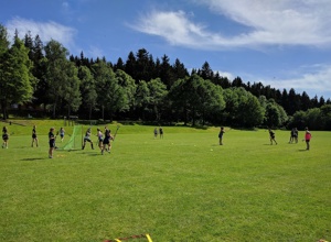 Rasenmäher für Faustballplatz