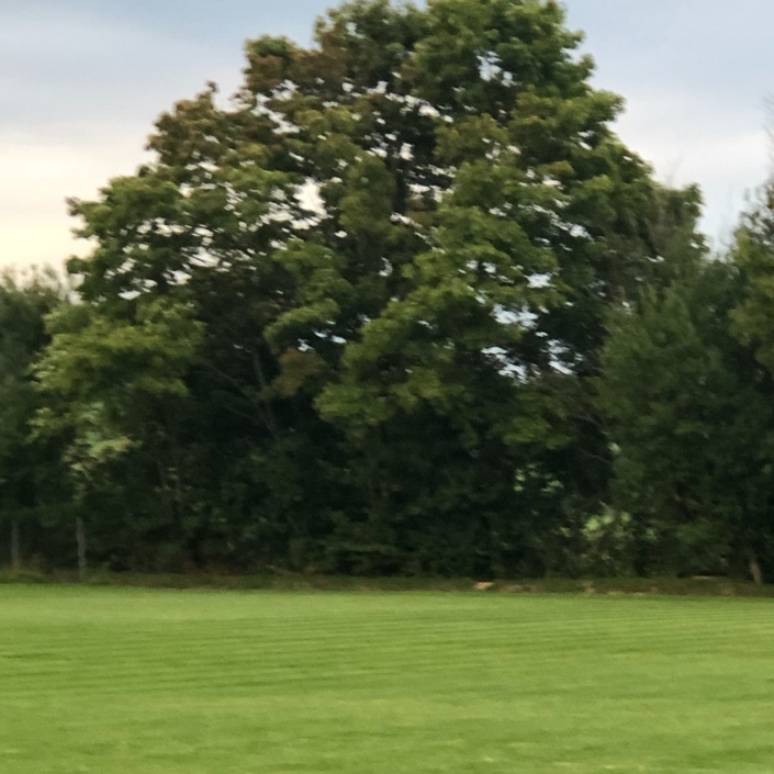Neu Spielfeldbegrenzung mit Zaunanlage