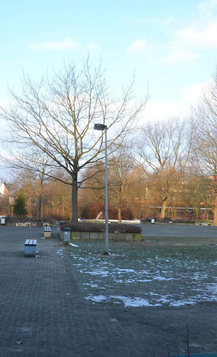Schulhofgestaltung an der IGS Melle