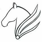 Reitgemeinschaft Pegasus e.V