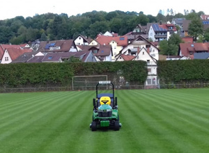 Video - Unser neuer Rasenmäher Amigo
