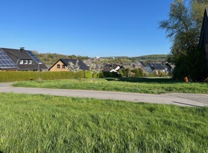Anbau GWK-Scheune - Bestandssicherung für unseren Rosenmontagszug!