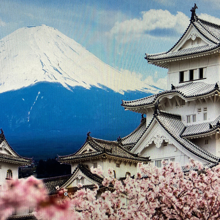 Dekomaterial „Tokio“ für Neues Kampagnenmotto