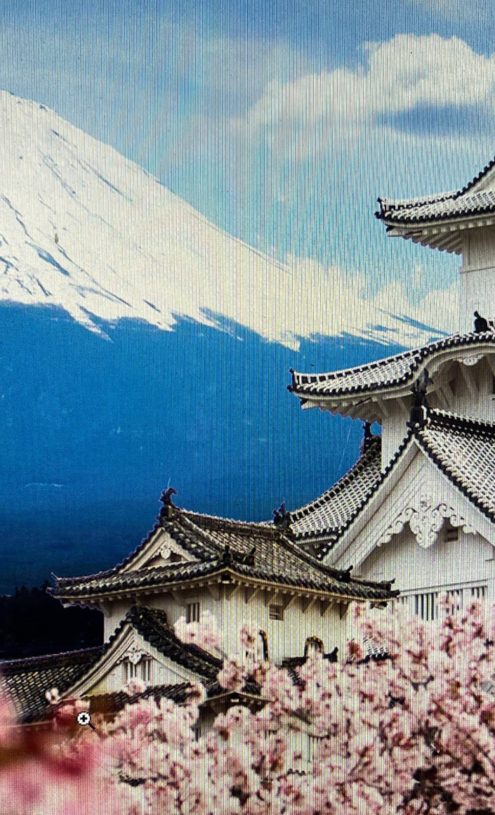 Dekomaterial „Tokio“ für Neues Kampagnenmotto