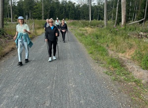 Walking is Rembrückens best medicine