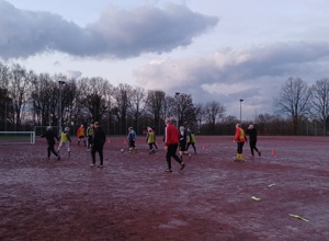 Kunstrasenplatz für den ASV