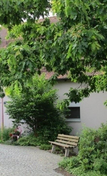 Rikscha für unser Pflegeheim Hammergmünd
