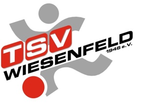 Akustikdecke Vereinsheim Wiesenfeld