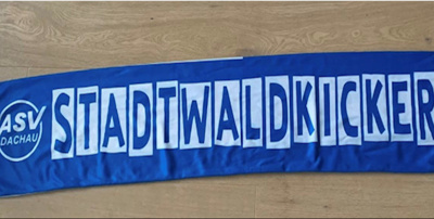 Neue Netze &amp;amp; Banden für die ASV Fußballjugend