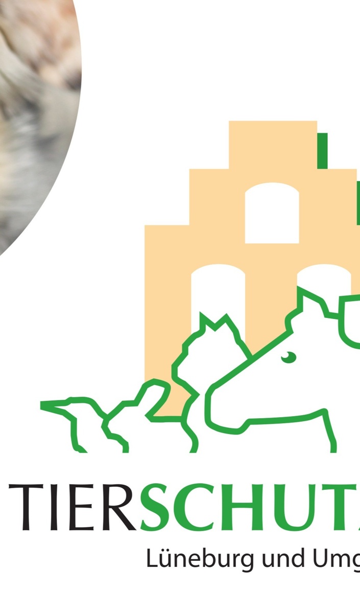 Wäschetrockner für das Hundehaus