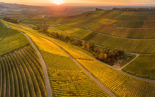 Boost der Volksbank Bühl - Aus Liebe zur Region