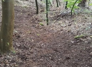 Flowtrail Burgsinn