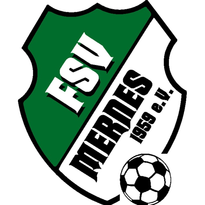 Der FSV Mähroboter