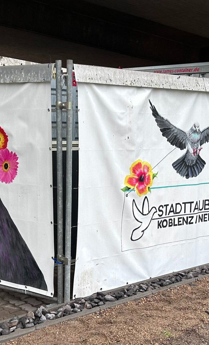 Versorgung unserer Taubenschläge sowie Pflege von Tauben in Not