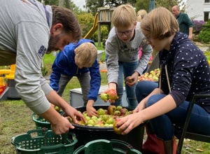 Apfelsaft von den Streuobstwiesen der Projektgruppe "WiesenWunder"