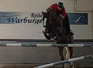 Neuer Sandplatz für Reitunterricht und Turnier