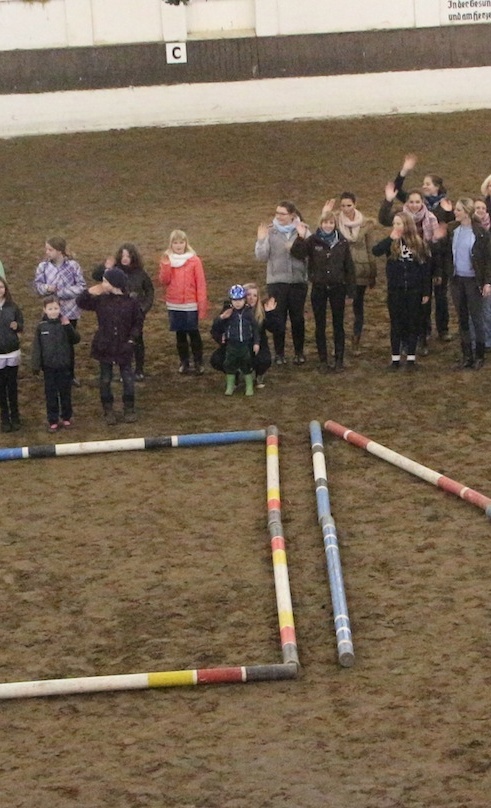 Wir wünschen uns ein Pony!