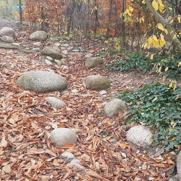 Rettet den Hügel!